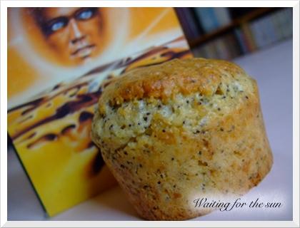 ≈ MUFFINS PAVOT GINGEMBRE CITRON pour LE MM#18 ≈