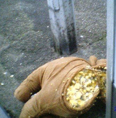 Hypocrite - Acrostiche - Véronique Dubois