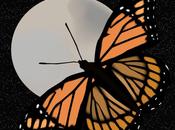 Enchaînements inévitables.