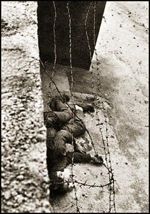 Le Mur de Berlin pour les dindes