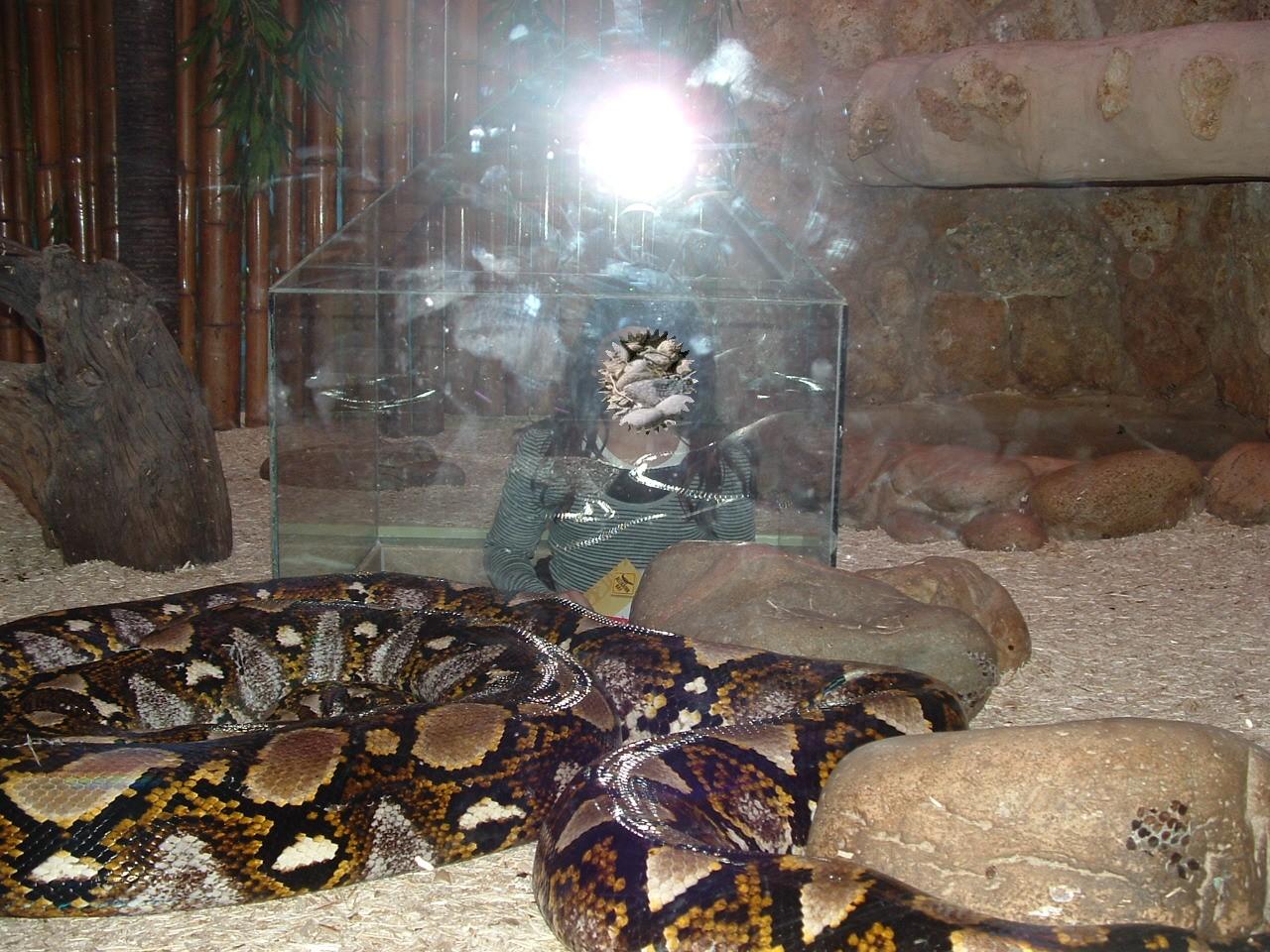 Au mileu des serpents