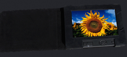 Le Cyberus de Sungale : un jour, un lecteur ebooks