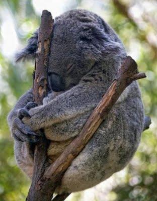 Complètement épuisés