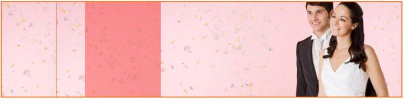 Les internautes, les hommes, les femmes et Google