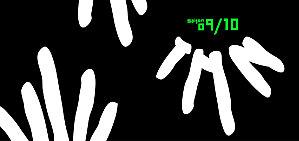 Mossieur et Angénue, aux mains nues