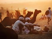 foire Pushkar