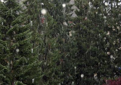 La Chaux-de-Fonds automne 2009 neige