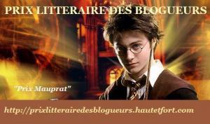 prix littéraire blogueurs 
