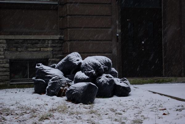 sacs feuilles mortes