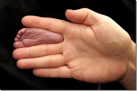 Flickr : pied de bébé entre  la main d’un adulte 