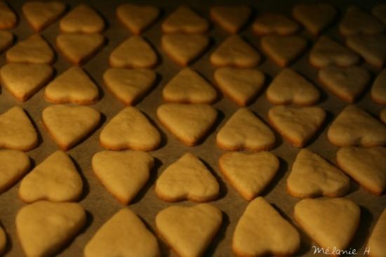 sac à tarte cupcake