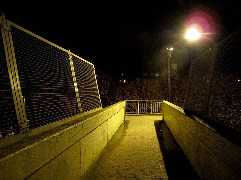 passerelle.1257687718.jpg