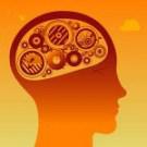 Algorithme cérébral Algorithme cérébral