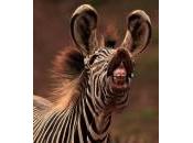 cyclistes n’aiment article, tant pour