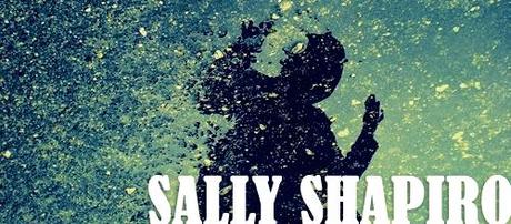 sallyshapiro sallyshapiro