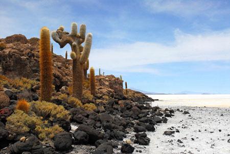 le désert de Incahuasi.