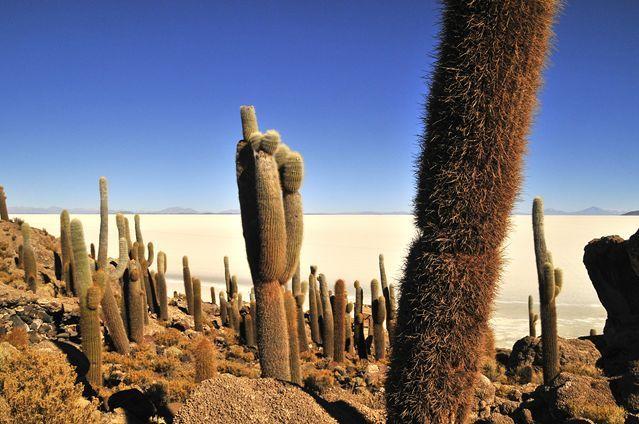 le désert de Incahuasi.
