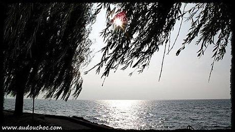 A la faveur de l'automne A la faveur de l'automne