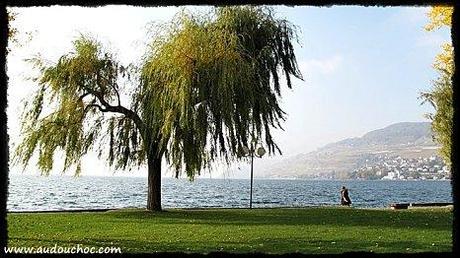 A la faveur de l'automne A la faveur de l'automne