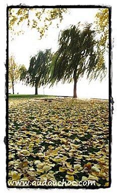 A la faveur de l'automne A la faveur de l'automne