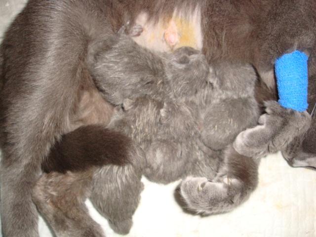 La petite famille du clan d’Iriwal :)