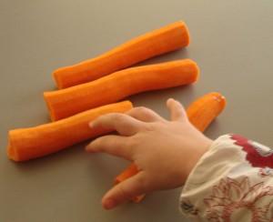 miam les carottes 300x244 Règles alimentaires