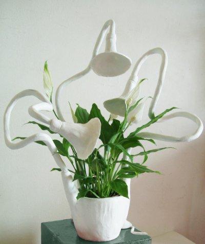 Caroline Schilling, concept Spotlights