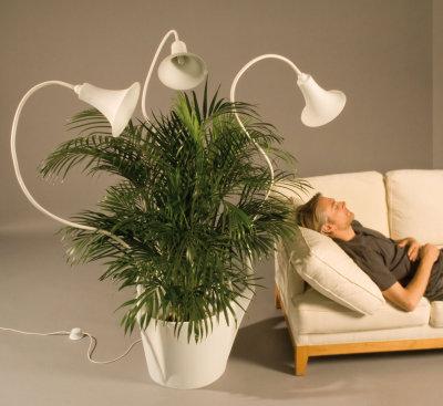 Caroline Schilling, concept Spotlights