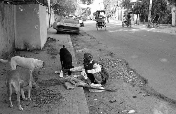 Partager son pain / To share his own bread