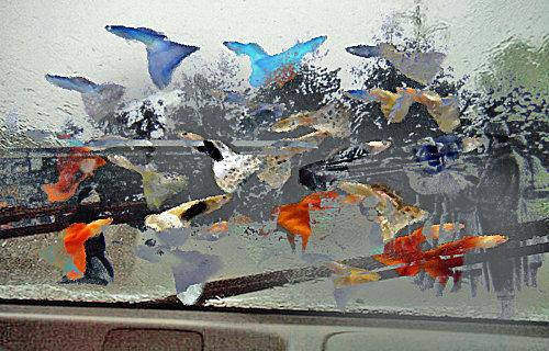 11 novembre... une pensée en honneur des fusillés 