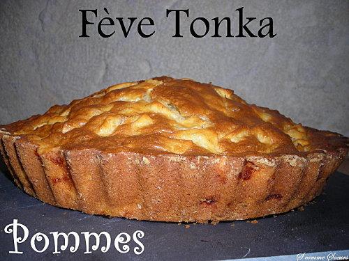 Gâteau aux pommes et fève tonka