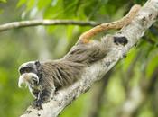 tour monde images l'actualité