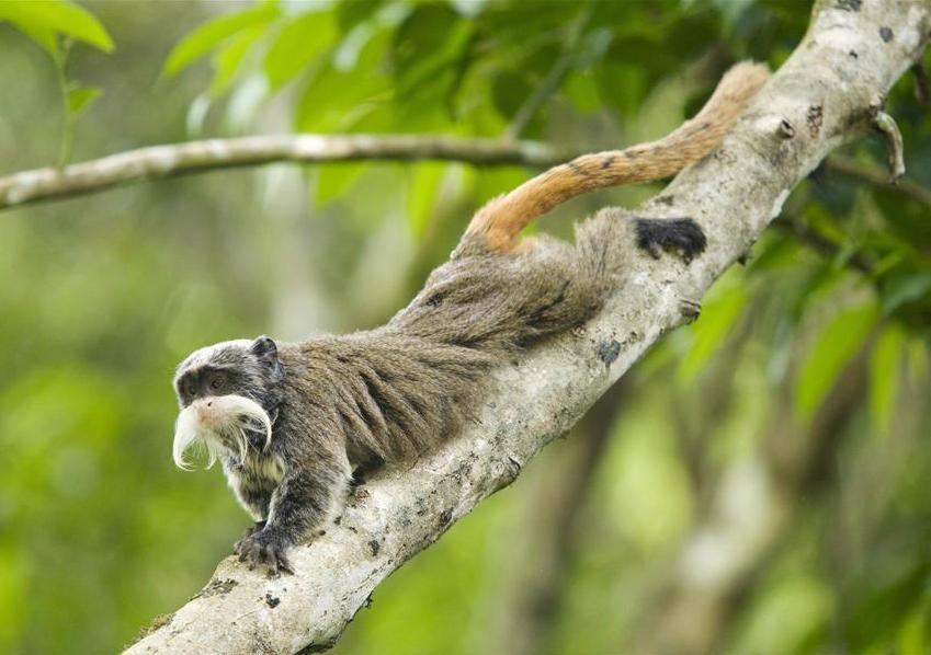 Un tour du monde en images de l'actualité #1