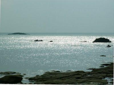 retrouver le chemin des mots