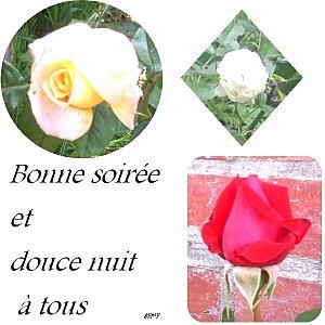 http://a33.idata.over-blog.com/300x300/2/45/34/93/gifs-perso/bonsoir-et-douce-nuit-rose.jpg
