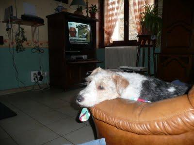 Pour ceux qui demandaient des nouvelles de Vanille...