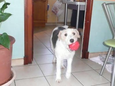 Pour ceux qui demandaient des nouvelles de Vanille...