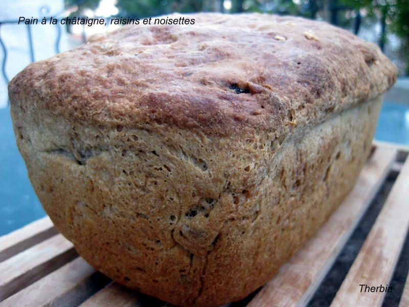 Pain à la châtaigne, raisins et noisettes