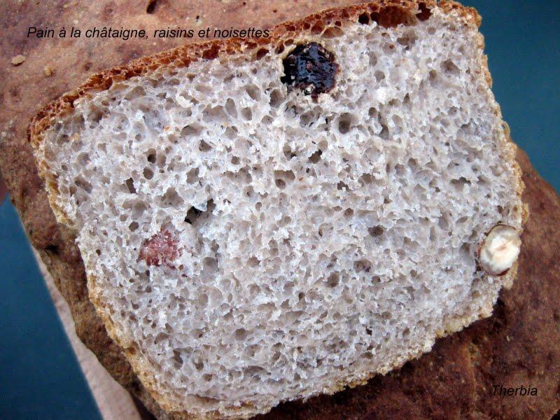 Pain à la châtaigne, raisins et noisettes
