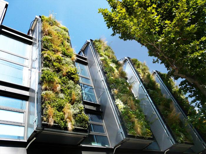 Toits et façades végétalisés!