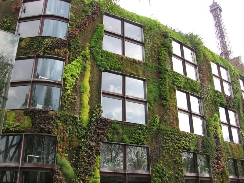 Toits et façades végétalisés!