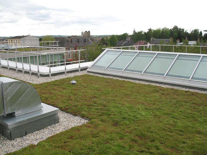 Toits et façades végétalisés!