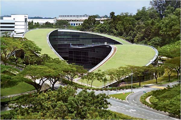 Toits et façades végétalisés!