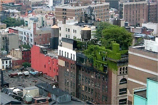 Toits et façades végétalisés!