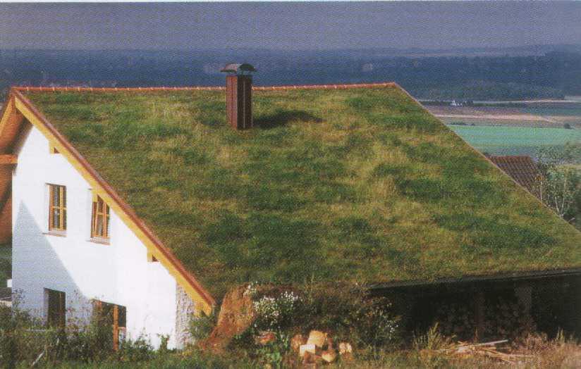 Toits et façades végétalisés!