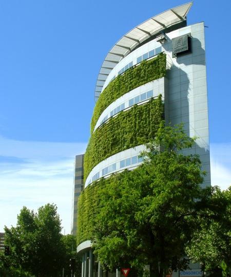 Toits et façades végétalisés!