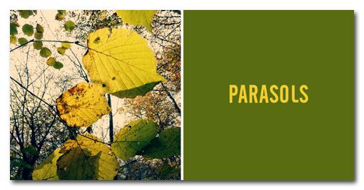 Sentiments de saisons _ x 20