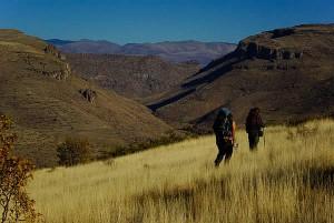 38399-6294567_l_9532f0613cdad24f51d2804bf383f15d