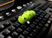 Contenus choquants et téléchargements : les collégiens sur le net