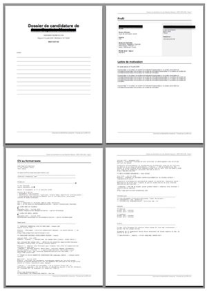 print dossier candidat